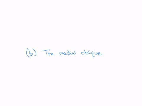 3-all-of-the-following-are-extraocular-muscles-that-responsible-for-the-motion-of-the-eyes-except-a-the-superior-oblique-b-the-medial-oblique-c-the-lateral-rectus-d-the-inferior-rectus-submit