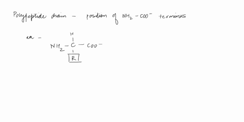 how-does-the-protein-polypeptide-chains-have-directionality-how-do-you-refer-to-the-two-ends-63077