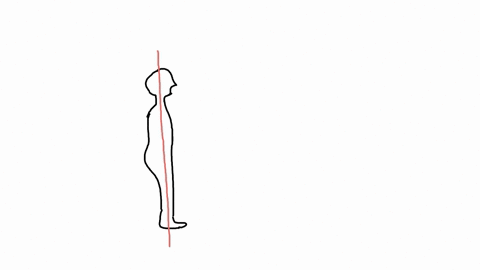 the-plane-thay-divides-the-body-into-anterior-and-posterior-portions