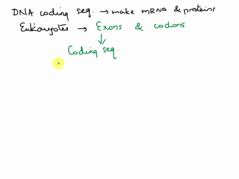 what-are-dna-coding-sequences-that-will-be-used-to-make-m-rna-and-proteins-called-in-eukaryotes-oreplicons-ocodons-oexons-ointrons-95931