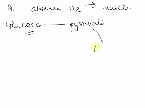 what-is-produced-when-there-is-no-oxygen-present-for-the-muscle-cells-33456