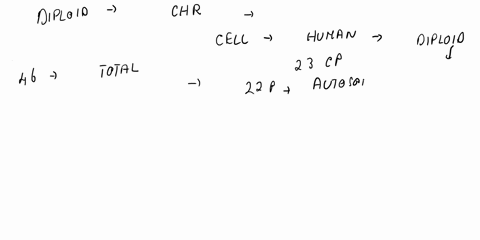 the-diploid-cell-shown-below-has-pairs-of-homologous-chromosomes-one-pair-carrios-alleles-for-the-r-gene-_-r-and-and-one-pair-carries-alleles-for-the-gene-and-in-the-space-below-draw-the-cel-86676