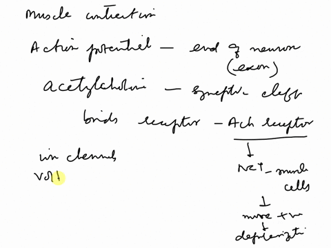 after-acetylcholine-crosses-the-synaptic-cleft-and-binds-to-the-acetylcholine-receptor-is-the-very-next-step-that-occurs-at-the-neuromuscular-junction-that-leads-to-depolarization-calcium-ch-59094