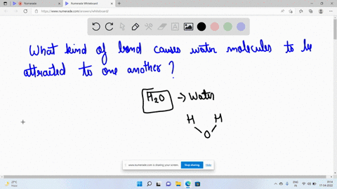what-kind-of-bond-causes-water-molecules-to-be-attracted-to-one-another-99702