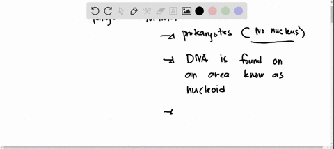 kingdom-monera-consists-of-all-prokaryotic-organisms-such-as-_____-____-______-32228