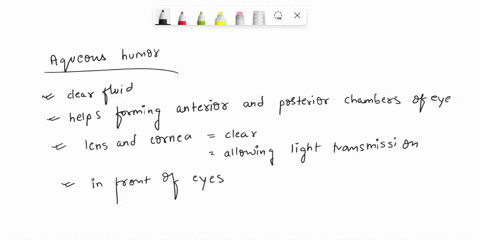 complete-the-sentences-describing-the-production-and-flow-of-aqueous-humorthen-place-the-sentences-in-the-correct-order-following-the-pathway-of-flow-drag-the-text-blocks-below-into-their-co-84446