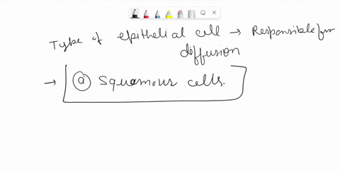 which-type-of-epithelial-cell-is-best-adapted-to-aid-diffusion-a-squamous-b-cuboidal-c-columnar-d-2-09152