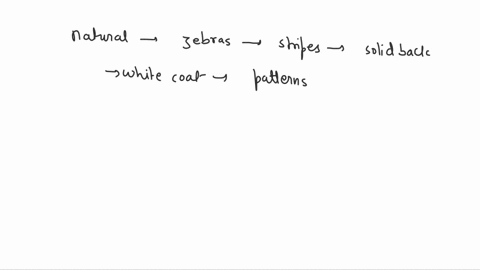 zebras-are-striped-black-and-white-this-is-a-form-of-camouflage-in-your-own-words-explain-how-natural-selection-has-led-to-zebras-having-stripes-instead-of-solid-black-or-white-coat-patterns-30578
