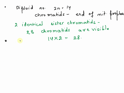 if-an-organism-has-a-diploid-number-of-14-a-how-many-chromatids-are-visible-at-the-end-of-mitotic-prophase-b-how-many-chromosomes-are-moving-to-each-pole-during-anaphase-of-mitosis-c-how-man-13709