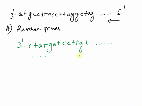 a1_-the-following-is-the-dna-sequence-of-a-hypothetical-gene-for-the-shortie-protein-it-is-called-the-shortie-gene-atgccttacc-ttaggctacg-tccaaatagc-cttcattgta-41-acaaggatc-atag-answer-a-b-ca-40163