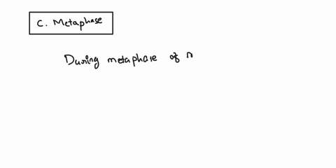 during-which-phase-of-of-mitisis-do-the-do-chromosomes-line-up-along-the-middle-of-dividing-cell-aprophase-b-telophase-cmetaphase-danaphase-50917