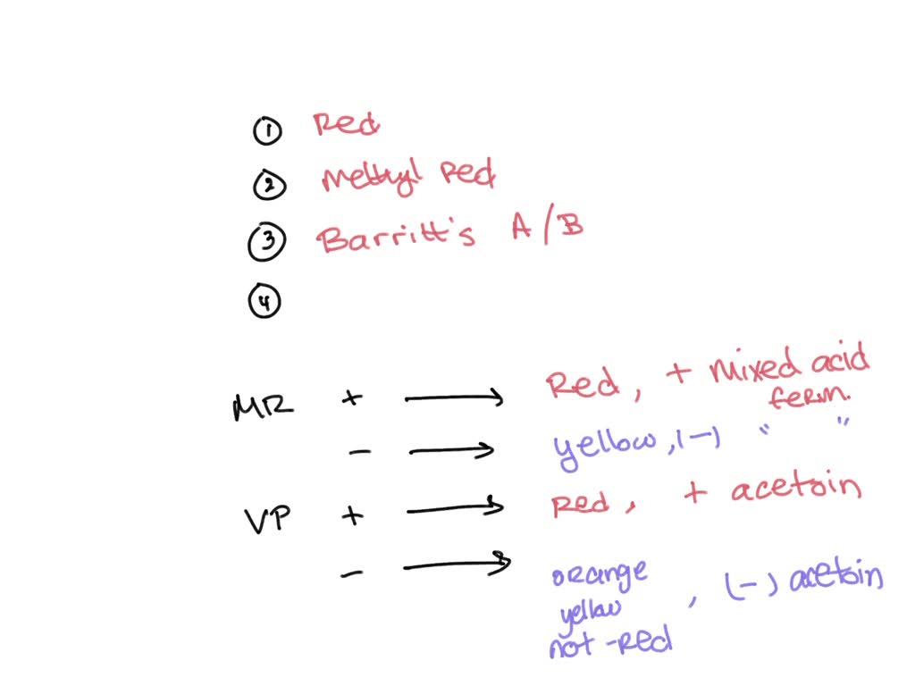 SOLVED: Figure 7 . Overview of a positive reaction for the VP portion ...
