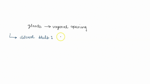 which-glands-lubricate-the-vaginal-opening-select-one-the-clitoral-bulbs-skenes-gland-c-seminal-vesicles-d-bartholins-glands-which-portion-of-the-clitoris-is-visible-select-one-a-the-bulbs-b-82088