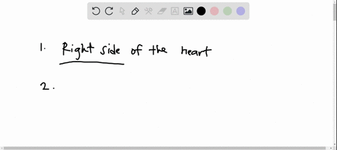 which-side-of-the-heart-is-the-pulmonary-circuit-which-of-the-following-does-not-belong-to-the-pulmonary-circuit-right-ventricle-right-atrium-mitral-valve-ricuspid-valve-pulmonary-trunk-whic-34232