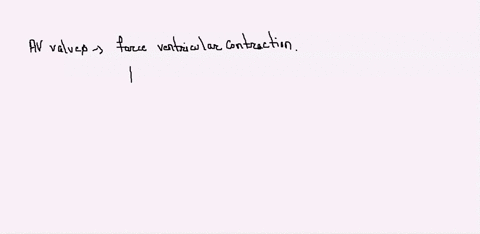 papillary-muscles-prevent-the-av-valves-from-prolapsing-bulging-excessively-into-the-atria-when-the-ventricles-contract-true-false-70127