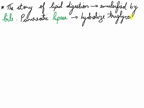 the-story-of-lipid-digestion-and-absorption-the-story-of-lipid-digestion-and-absorption-in-the-small-intestine-lipids-are-emulsified___-pancreatic-___-is-then-able-to-hydrolyze-triglycerides-38883
