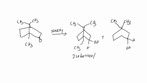 mechanism-of-sodium-borohydride-reduction-of-camphor-to-borneol-and-isoborneol-94855