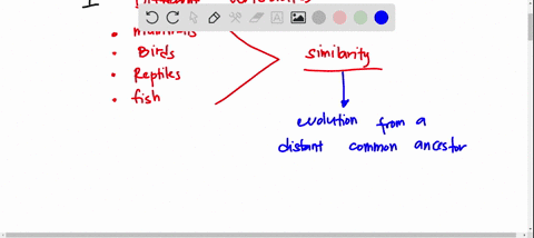what-is-suggested-by-the-similarity-of-early-embryos-of-different-species-of-vertebrates-evolution-from-distant-common-ancestor-evolutionary-relationship-between-the-groups-similar-environme-37147