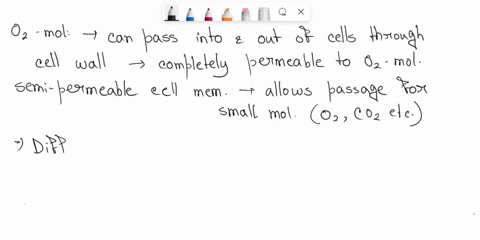 why-does-oxygen-diffuse-into-plant-cells-86948