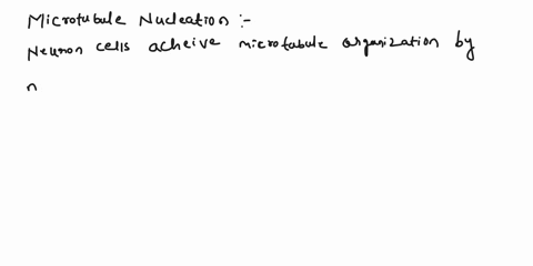 neuronal-cells-utilize-microtubules-to-move-large-organelles-from-the-cell-body-region-to-the-axon-terminal-to-make-that-mechanism-functional-what-will-be-an-essential-step-in-microtubule-or-34373