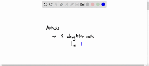 true-or-false-the-cells-that-result-from-mitosis-and-cell-division-have-the-same-genetic-information-01007