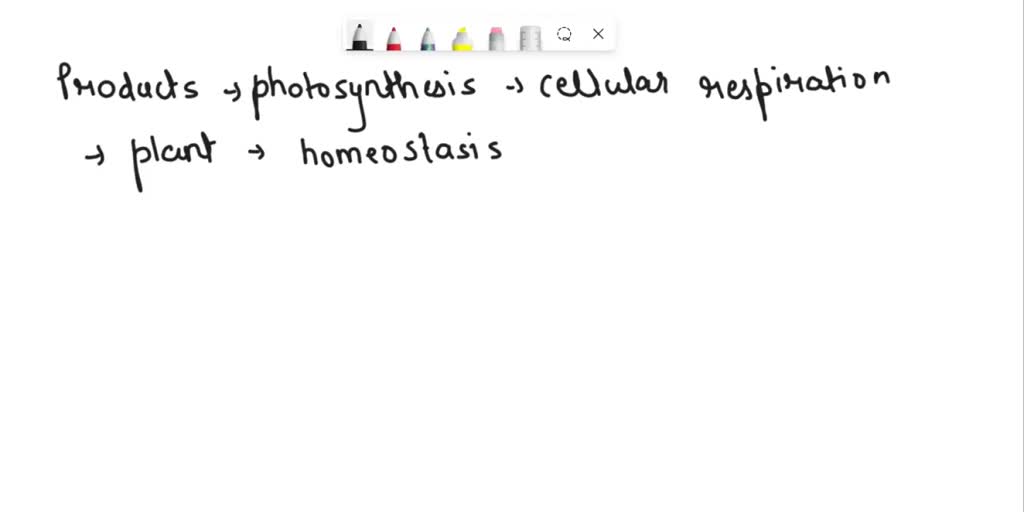 SOLVED How do the products of photosynthesis and cellular respiration