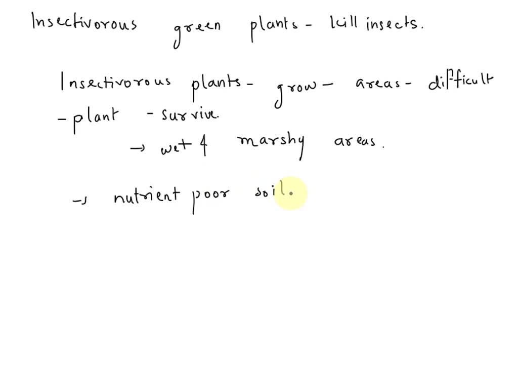 SOLVED Question 1The green insectivorous plants trap insects kill