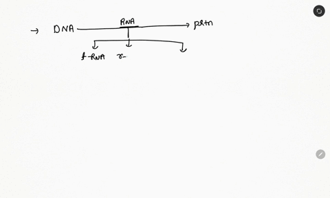which-of-the-following-types-of-rna-carries-instructions-for-making-proteins-71914
