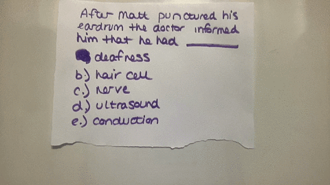 after-matthew-punctured-his-eardrum-the-doctor-informed-him-that-he-had-deafness-1-hair-cell-2-nerve-3-ultrasound-4-conduction
