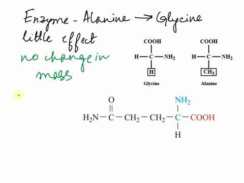 in-a-particular-enzyme-an-alanine-residue-is-located-in-a-cleft-where-the-substrate-binds-a-mutation-that-changes-this-residue-to-glycine-has-little-effect-on-activity-however-another-mutati-60587