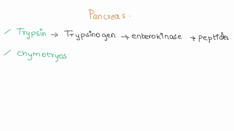 describe-the-functions-of-at-least-five-digestive-enzymes-secreted-by-the-pancreas-06432