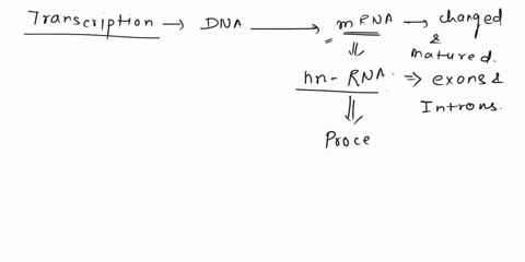 question-19-0-1-pts-in-transcription-the-mrna-transcribed-from-dna-is-changed-and-matured-what-is-correct-concerning-the-processing-that-takes-place_-apoly-a-tail-is-put-on-the-5-end-ofthe-m-78649