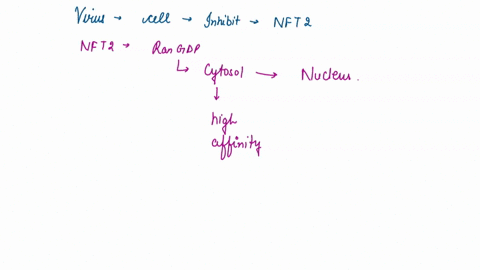 if-a-virus-infected-a-cell-and-inhibited-the-expression-of-the-nft2-protein-how-would-this-influence-protein-transport-into-the-nucleus-describe-the-mechanism-you-can-draw-but-be-sure-to-lab-32787