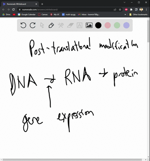 question-5-post-translational-modifications-of-proteins-can-affect-which-of-the-following-a-transcriptional-regulation-d-chromatin-modification-all-of-the-above-protein-function-question-6-73863