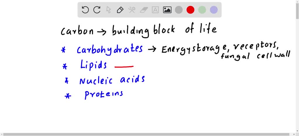 SOLVED The Four Main Types Of Carbon based Molecules In Organisms Are 