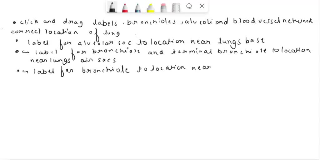 SOLVED: Label the blood vessels, capillaries, and structures associated