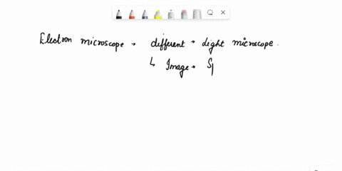 electron-microscopes-differ-from-iight-microscopes-in-that-a-light-replaces-electrons-b-glass-lenses-replace-electromagnets-c-resolution-is-lower-d-magnification-is-lower-e-magnification-is-16415