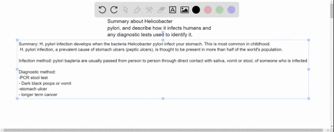 summary-about-helicobacter-pylori-and-describe-how-it-infects-humans-and-any-diagnostic-tests-used-to-identify-it-18833