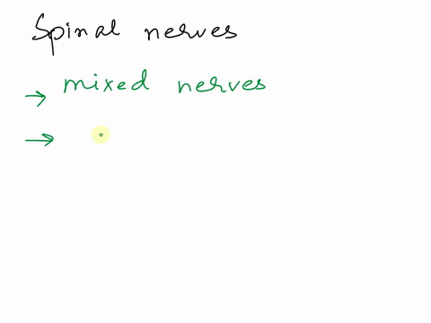 62-select-all-that-apply-to-the-spinal-nerves-only-transmit-sensory-information-only-transmit-motor-information-are-mixednerves-are-named-according-to-the-region-of-the-vertebral-column-from-63479