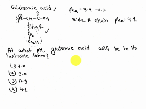 all-amino-acids-have-two-ionizable-functional-groups-an-amino-group-average-pk-of-94-and-an-carboxylic-acid-group-average-pk-of-22-glutamic-acid-has-an-ionizable-side-chain-r-group-with-a-pk-07096