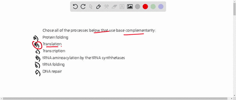 chose-all-of-the-processes-below-that-use-base-complementarity-protein-folding-translation-transcription-trna-aminoacylation-by-the-trna-synthhetases-trna-folding-dna-repair-34647