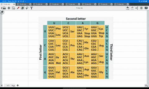 what-amino-acid-sequence-will-be-generated-based-on-the-following-mrna-codon-sequence-5-aug-ucu-ucg-uua-ucc-uug-3-met-ser-ser-leu-ser-leu-met-glu-arg-arg-glu-leu-met-ser-leu-ser-leu-ser-met-42358