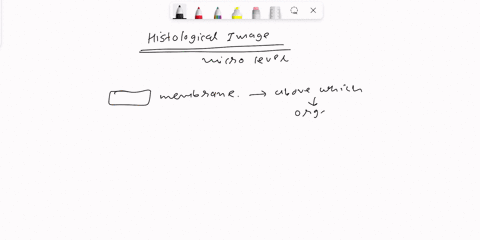 nervous-system-ans-and-special-senses-laboratory-palhistologyspecial-senseslab-practicalquestion1-parta-name-the-sensory-organ-that-is-supported-by-the-highlighted-structure-29334