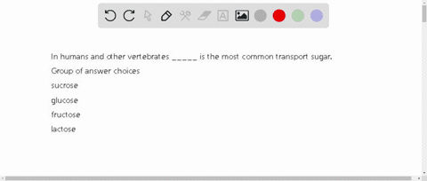 in-humans-and-other-vertebrates-_____-is-the-most-common-transport-sugar-group-of-answer-choices-sucrose-glucose-fructose-lactose-42275