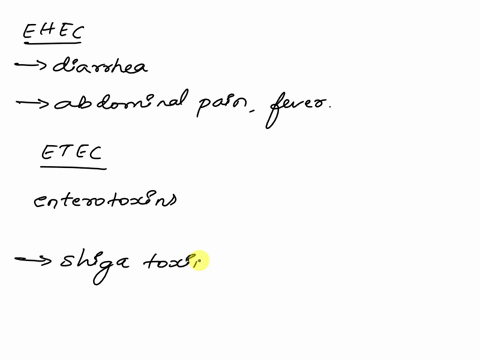 enterohemorrhagic-e-coli-will-likely-cause-infantile-dianhea-they-guce-aniniinynjtory-responce-there-brce-bicae-phaze-genes-chat-produce-taxln-jmilar-to-tetano-pasmin-toxin-lk-etec-these-e-c-89964