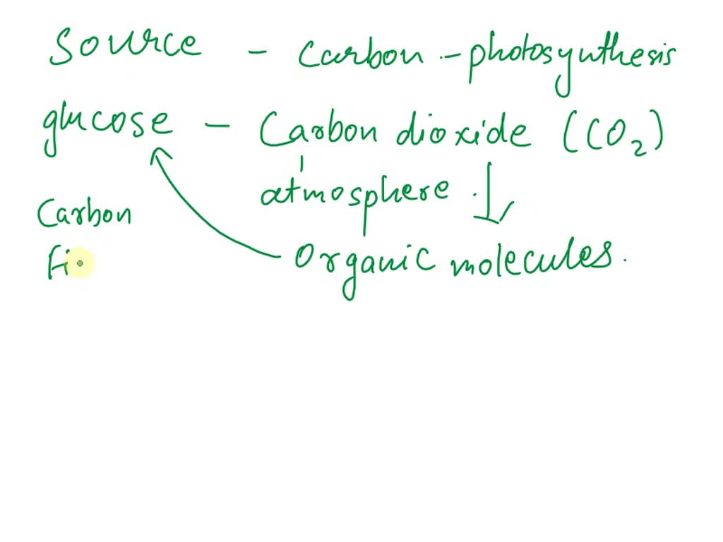 SOLVED Source of carbon atoms in glucose formed by photosynthesis