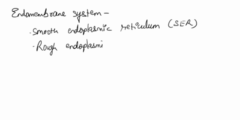 select-all-the-parts-of-the-cell-that-are-part-of-the-endomembrane-system_-smooth-endoplasmic-reticulum-rough-endoplasmic-reticulum-vesicles-ribosome-cilia-nuclear-envelope-golgi-apparatus-m-39206