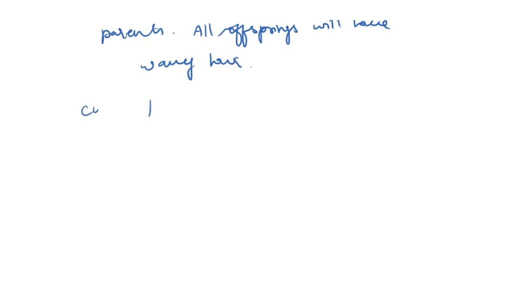 solved-the-allele-for-curly-hair-q-is-dominant-to-the-allele-for-the