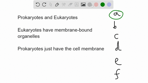 which-features-do-prokaryotic-and-eukaryotic-cells-not-have-in-common-select-all-that-apply-amitochondria-bdna-c-ribosomes-dplasma-membrane-or-cell-membrane-enucleus-fendoplasmic-reticulum-43198