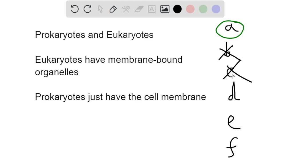 SOLVED: Which feature(s) do prokaryotic and eukaryotic cells not have ...